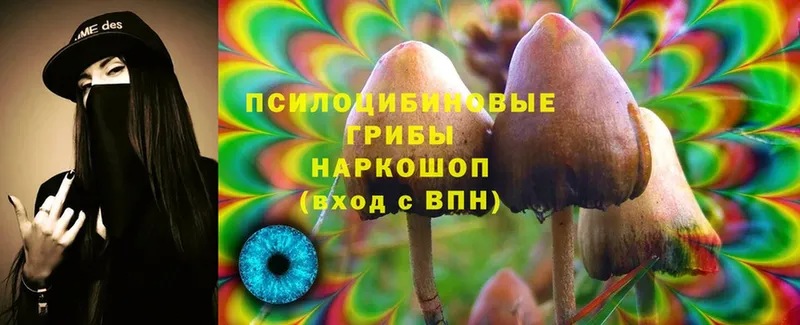 Галлюциногенные грибы Psilocybine cubensis  Козьмодемьянск 